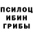 Псилоцибиновые грибы прущие грибы Oleksandr Kulyassov