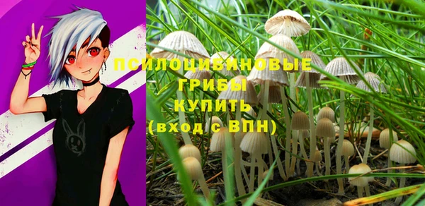 гашик Аркадак