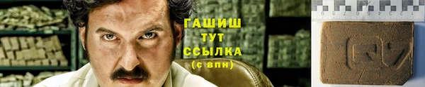 гашик Аркадак