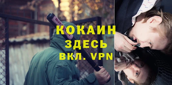 гашик Аркадак